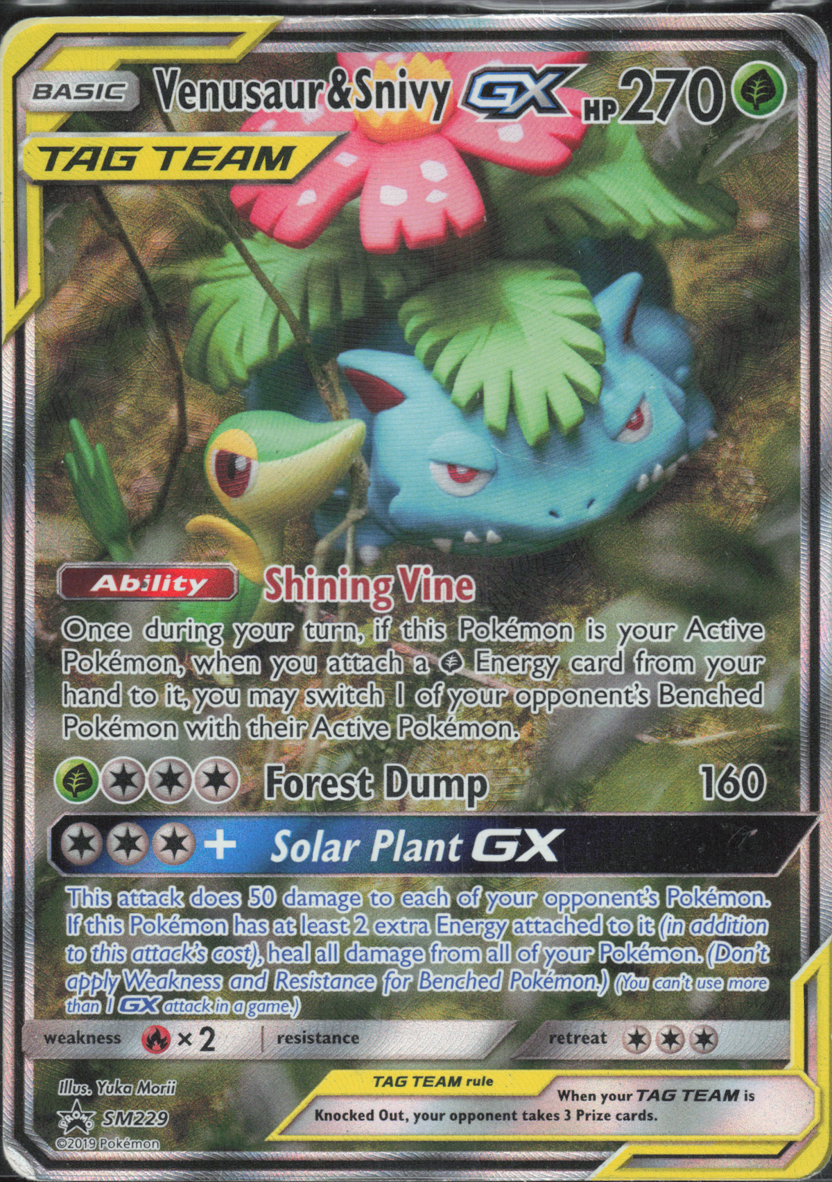 Venusaur & Snivy GX - SM229 - EN