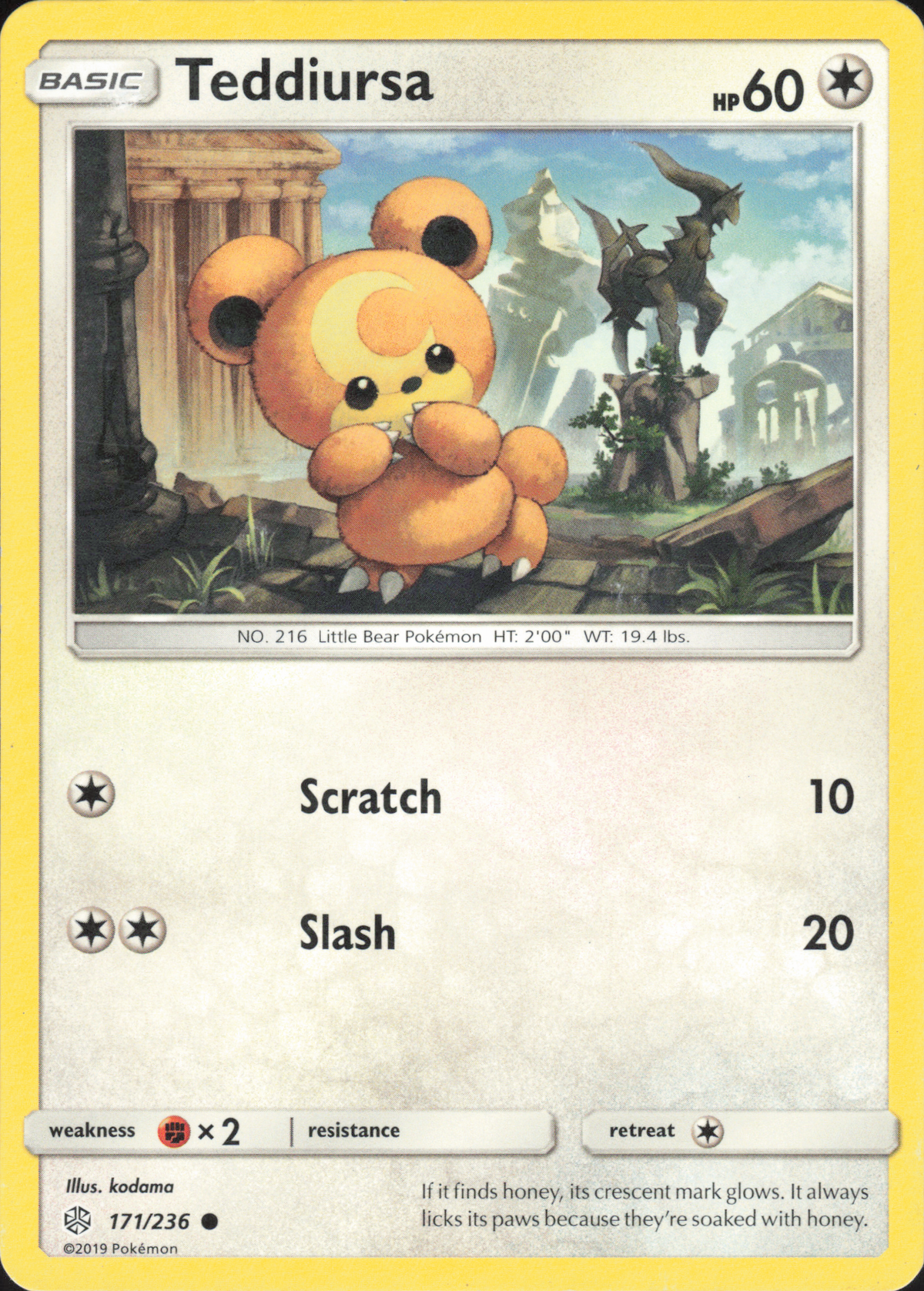 Teddiursa 171/236 Vorderseite