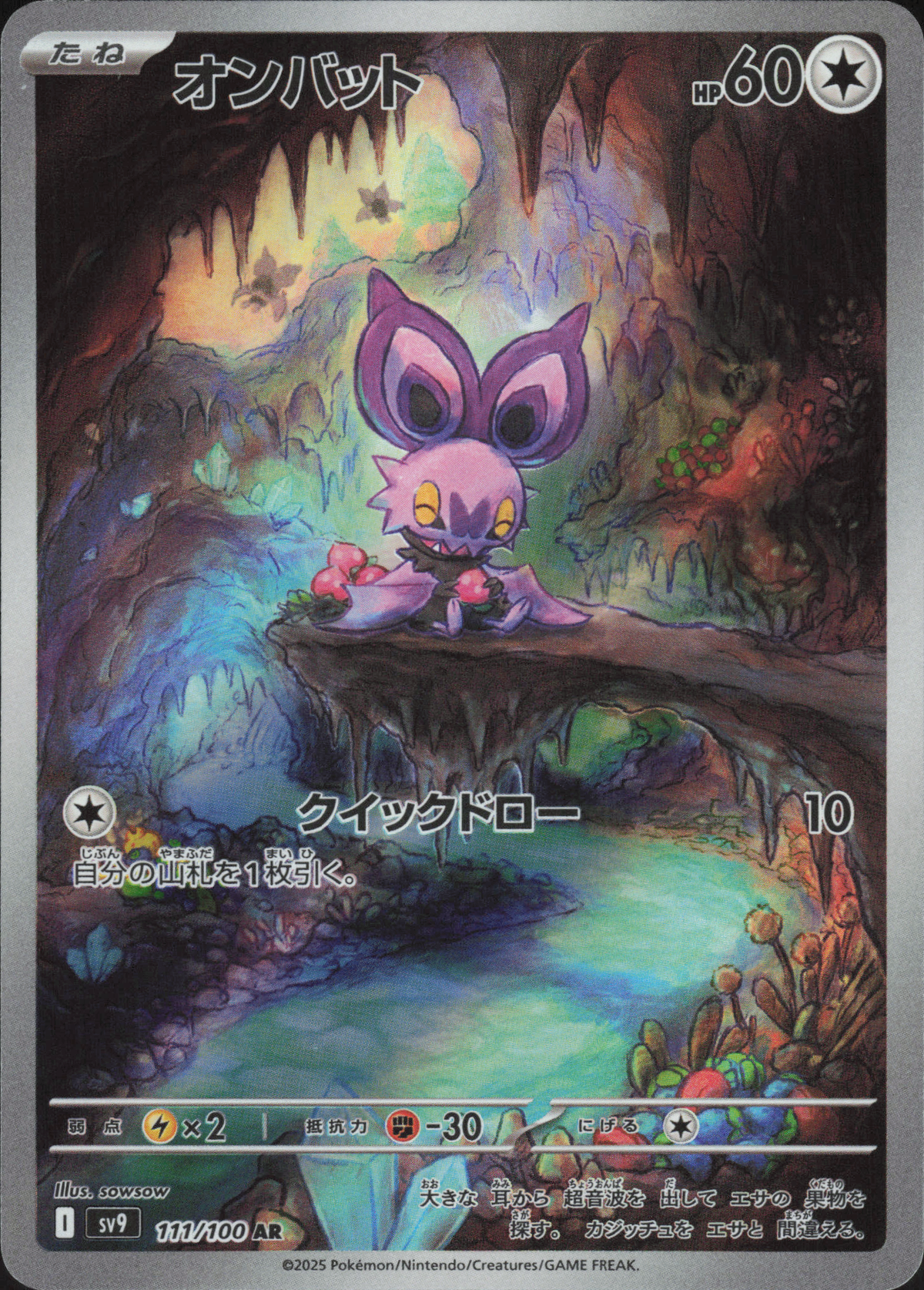 Noibat 111/100 Vorderseite