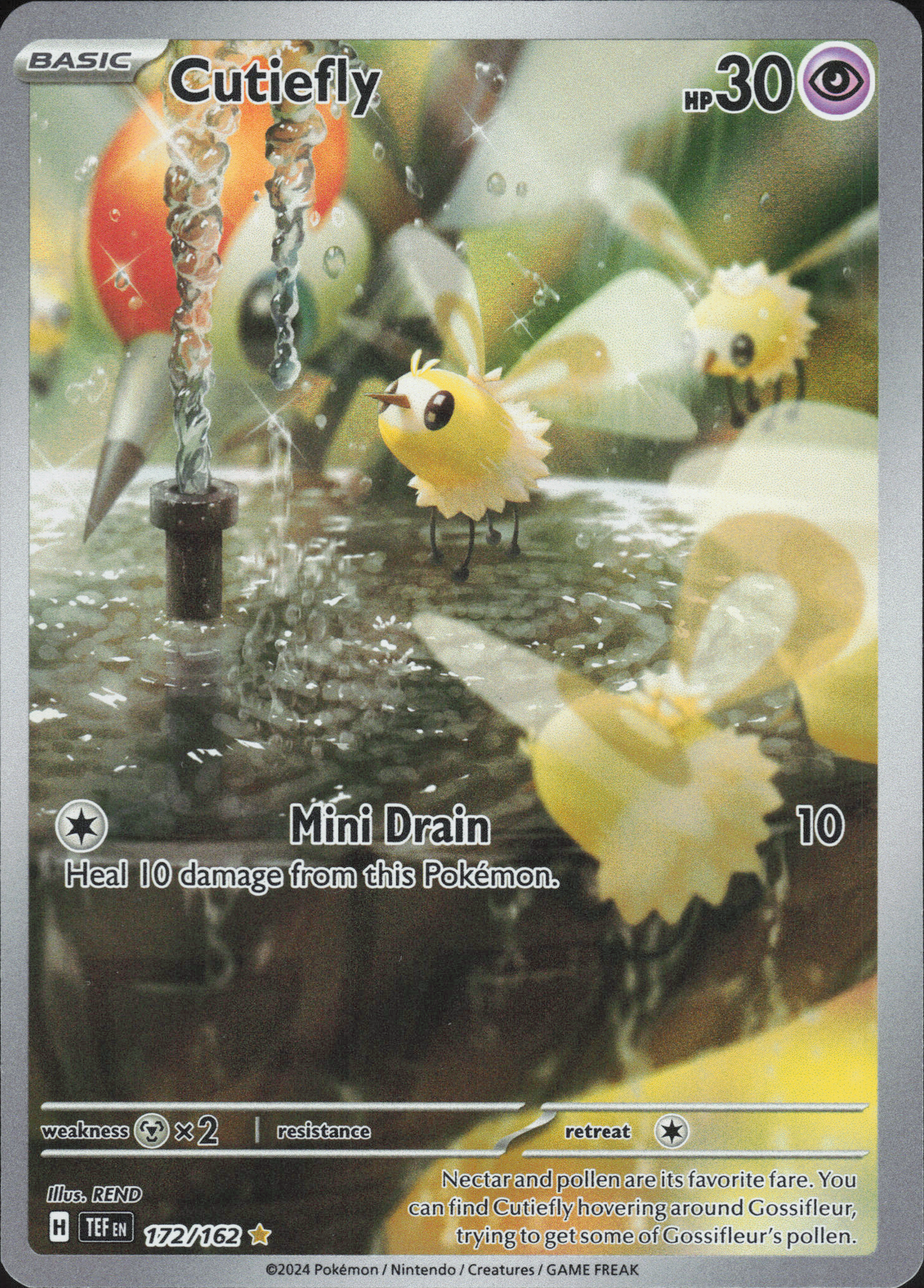 Cutiefly – 172/162 – EN