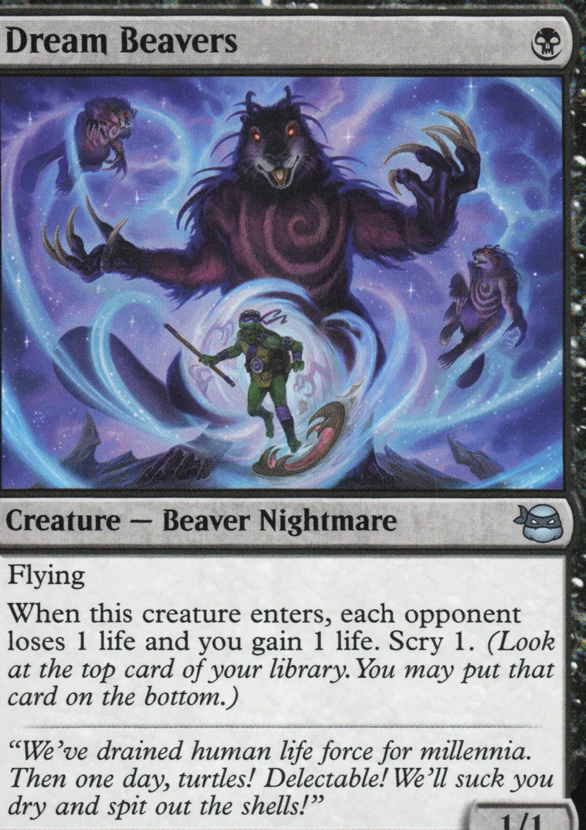 Dream Beavers Vorderseite