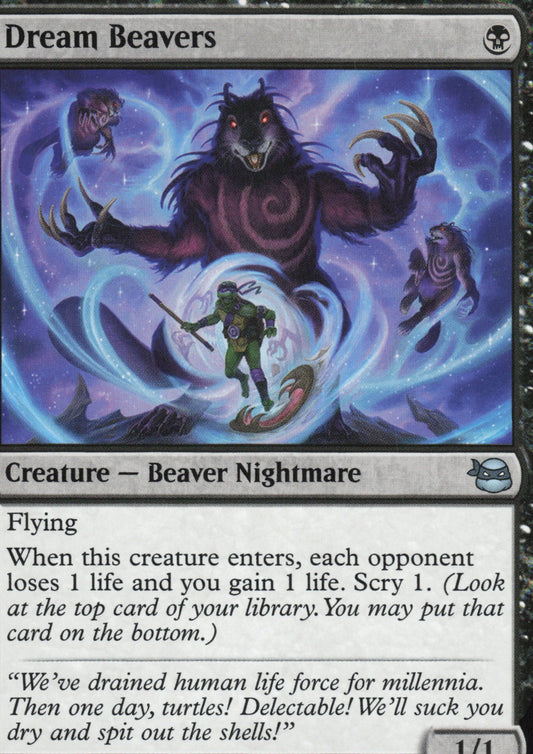 Dream Beavers Vorderseite