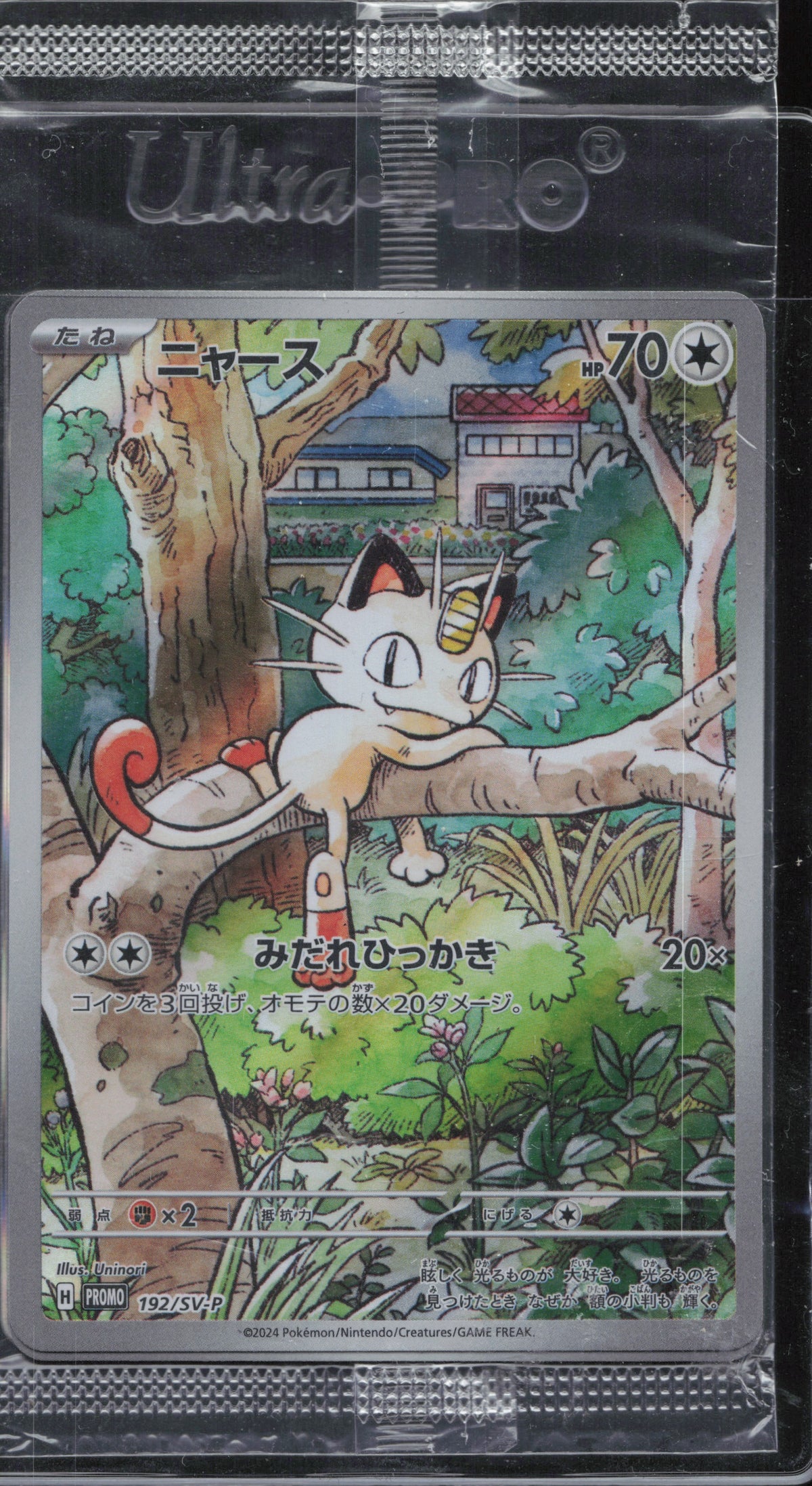 Meowth 192/SV-P Vorderseite